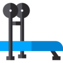 sports and competition,exercise,sports,gymnastic,gymnasium,bench press,gymnast,exercising,weightlifter